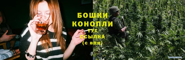 PSILOCYBIN Алексеевка
