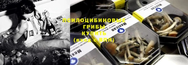 PSILOCYBIN Алексеевка