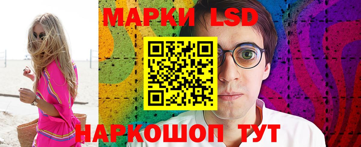 Галлюциногенные грибы Новошахтинск
