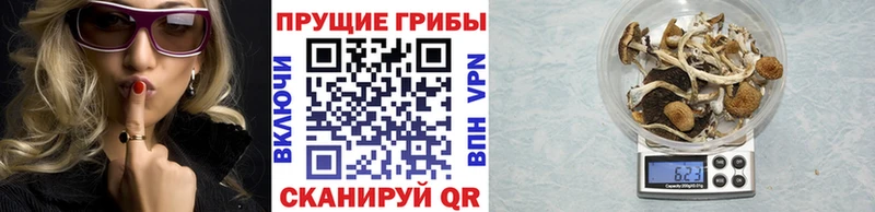 Псилоцибиновые грибы ЛСД  цены   MEGA как войти  Новошахтинск 