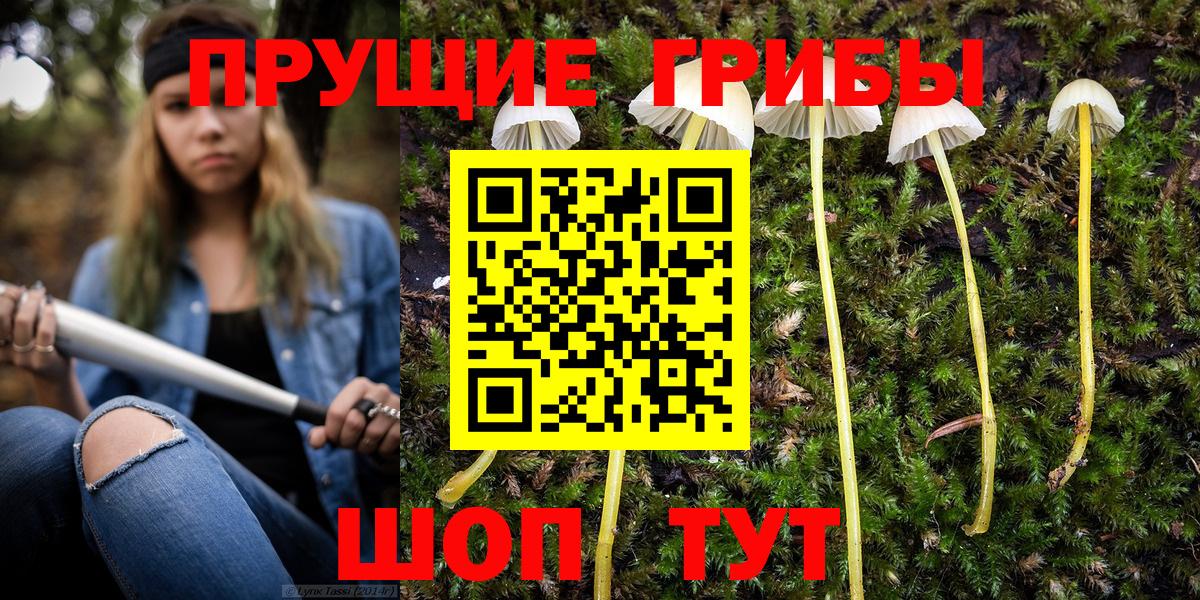Галлюциногенные грибы мухоморы  Вход с VPN  Новошахтинск 