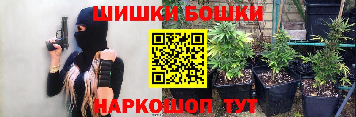 Бошки Шишки конопля Новошахтинск
